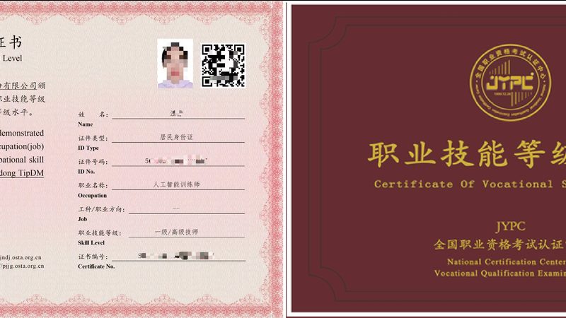 大模型批发：上海代理如何选择优质供应商**